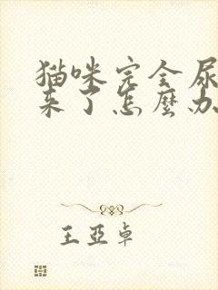 猫咪完全尿不出来了怎么办