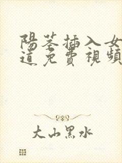 阳茎插入女性阴道免费视频