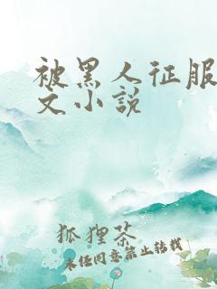 被黑人征服的淫文小说