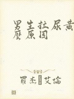 男生拉尿黄是什么原因