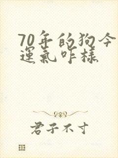 70年的狗今年运气咋样