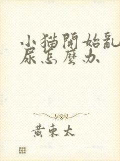 小猫开始乱拉乱尿怎么办