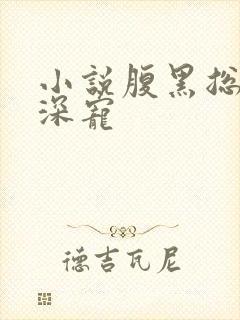 小说腹黑总裁深深宠