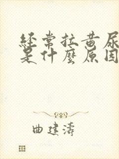 经常拉黄尿又臭是什么原因