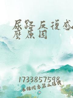 尿路反复感染什么原因