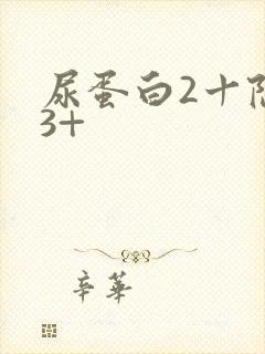 尿蛋白2十隐血3+