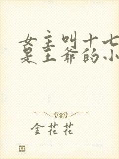 女主叫十七男主是王爷的小说
