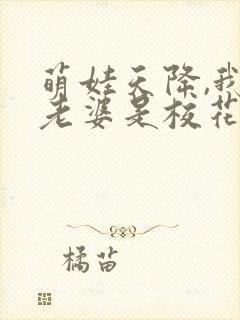 萌娃天降,我的老婆是校花短剧高清