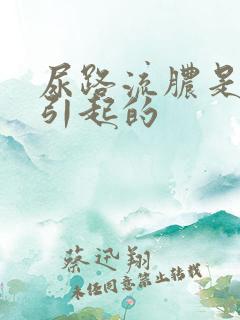 尿路流脓是什么引起的