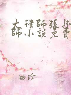 大律师张丹璇律师小说免费阅读