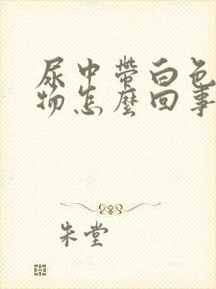 尿中带白色沉淀物怎么回事