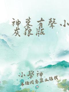 神墓有声小说大灰狼版