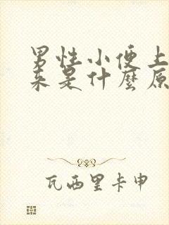 男性小便上不出来是什么原因