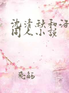 沈清秋和洛冰河同人小说