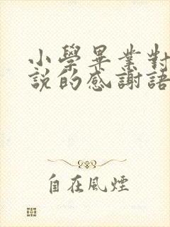 小学毕业对老师说的感谢语