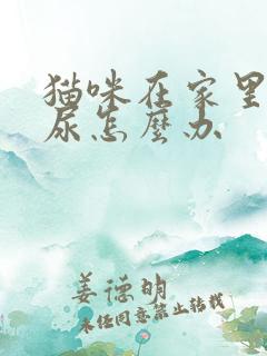 猫咪在家里乱拉尿怎么办