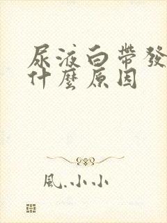 尿液白带发黄是什么原因