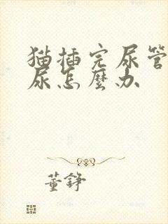 猫插完尿管后漏尿怎么办