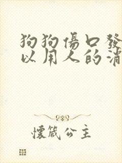 狗狗伤口发炎可以用人的消炎药吗
