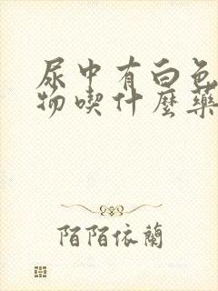 尿中有白色沉淀物吃什么药