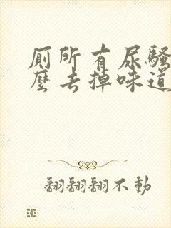 厕所有尿骚味怎么去掉味道