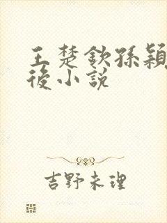 王楚钦孙颖莎婚后小说