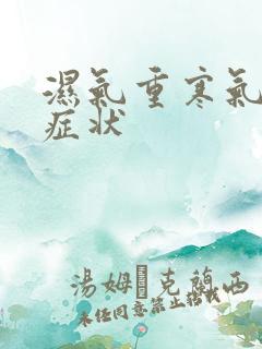 湿气重寒气重的症状