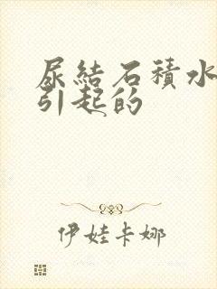 尿结石积水怎么引起的