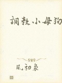 调教小母狗h