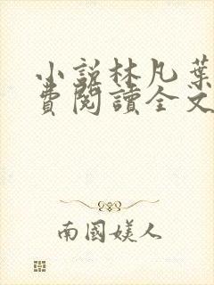 小说林凡叶惜免费阅读全文最新章节