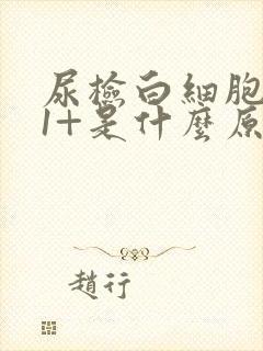 尿检白细胞阳性1+是什么原因