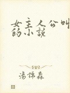 女主人公叫乔念的小说