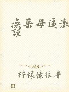 操岳母逼激情小说