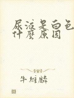 尿液是白色的是什么原因