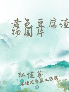 黄色豆腐渣分泌物图片