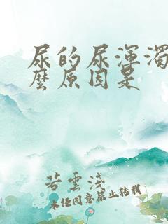 尿的尿浑浊是什么原因是