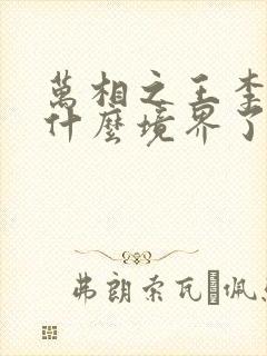 万相之王李洛到什么境界了