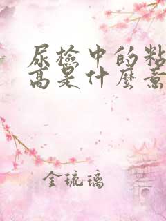 尿检中的粘液丝高是什么意思