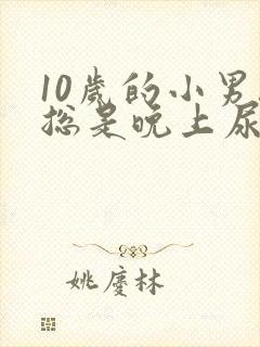 10岁的小男孩总是晚上尿床是什么原因