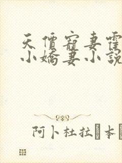 天价宠妻霍总的小娇妻小说