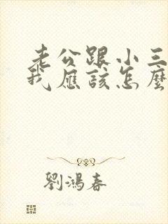 老公跟小三同居我应该怎么办