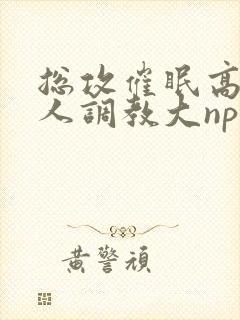 总攻催眠高冷美人调教大np