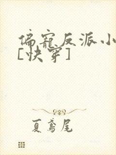 偏宠反派小可怜[快穿]