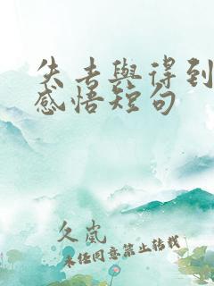 失去与得到人生感悟短句