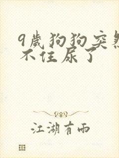 9岁狗狗突然憋不住尿了