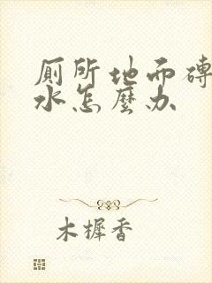 厕所地面砖缝渗水怎么办