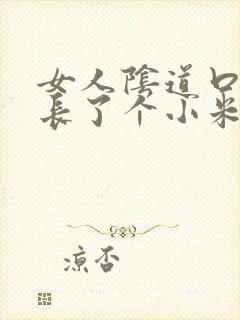 女人阴道口旁边长了个小米粒怎么回事