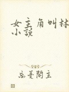 女主角叫林念的小说