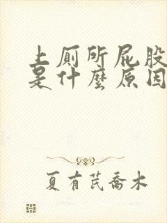 上厕所屁股流血是什么原因