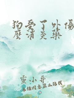 狗受了外伤吃什么消炎药